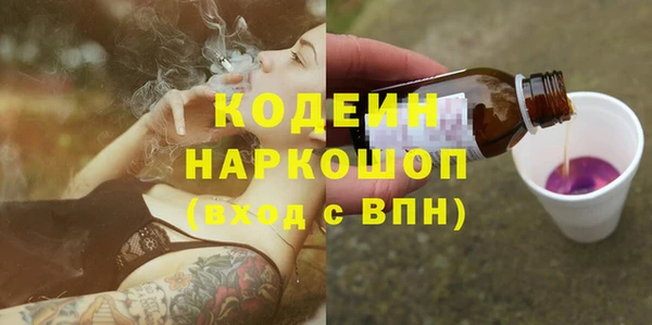 таблы Бородино