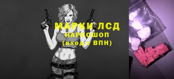 таблы Бородино