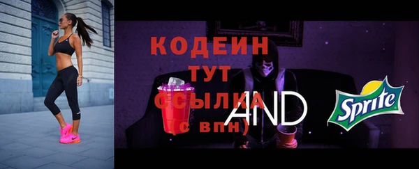 таблы Бородино