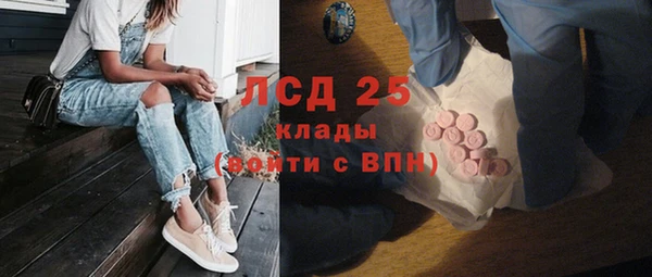 таблы Бородино