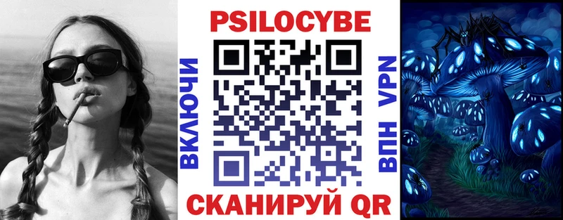Псилоцибиновые грибы GOLDEN TEACHER  blacksprut ссылки  Новохопёрск 